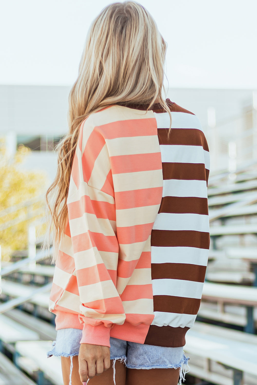Brown Stripe Pullover Sweatshirt