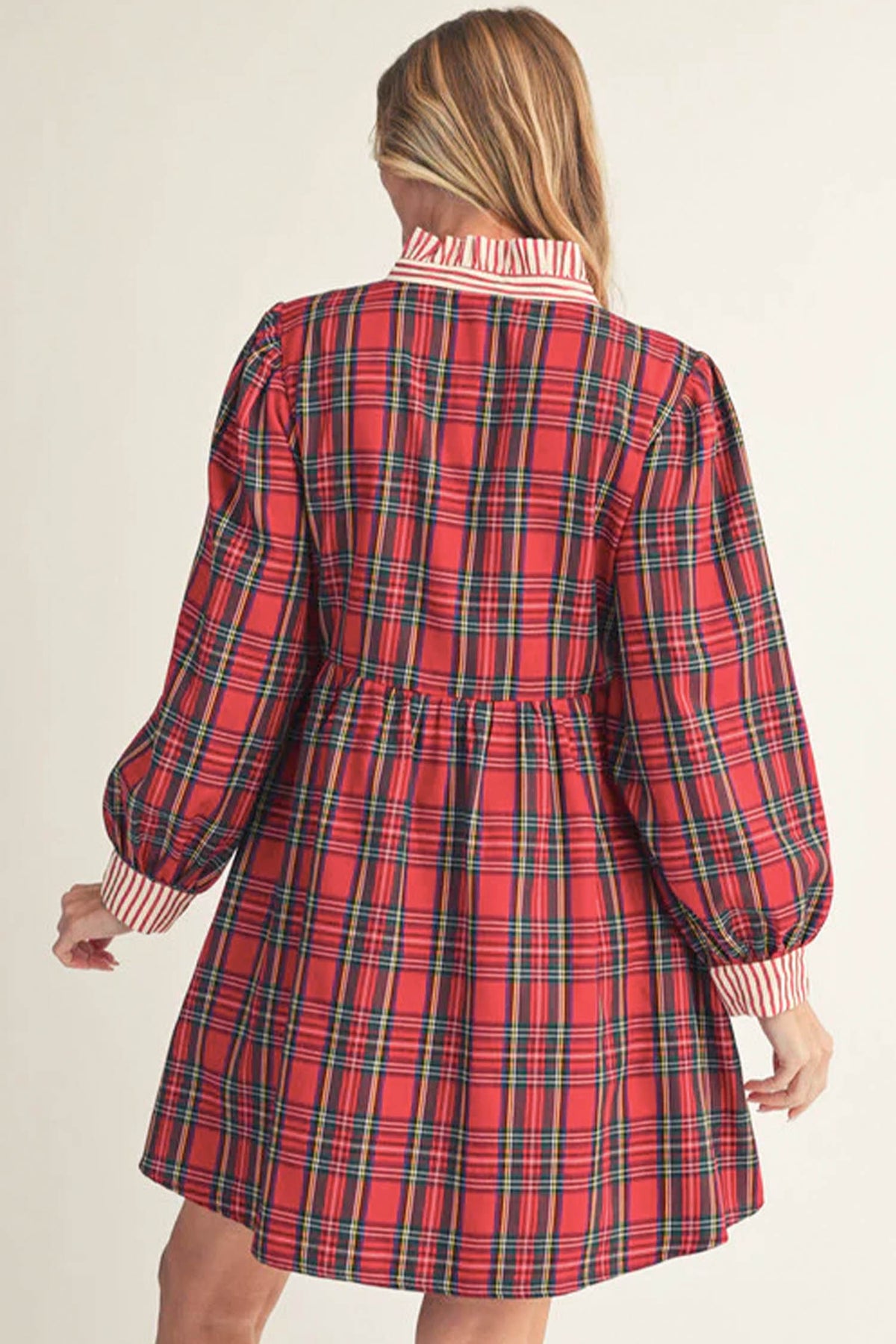 Red Plaid Striped Plus Size Dress